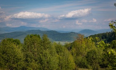 Karpat dağlarında ilkbahar manzarası