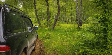 SUV Bahar Karpatları 'nda seyahat ediyor.