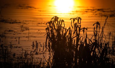Gölde güzel altın saat
