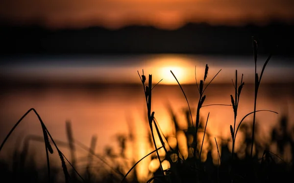 Schöne Goldene Stunde See — Stockfoto