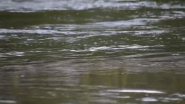 Gün batımında çeşitli dalga desenli dağ nehri