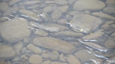 Gün batımında çeşitli dalga desenli dağ nehri