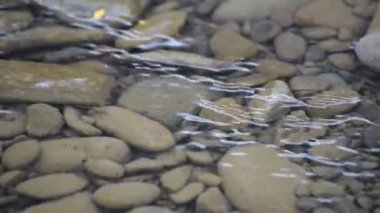 Gün batımında çeşitli dalga desenli dağ nehri