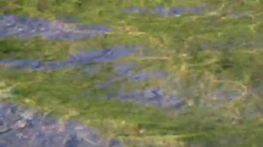 Gün batımında çeşitli dalga desenli dağ nehri