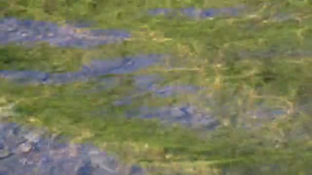 Різноманітна Текстура Хвилі Гірська Річка Під Час Заходу Сонця — стокове відео
