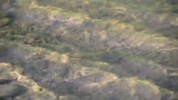 Різноманітна Текстура Хвилі Гірська Річка Під Час Заходу Сонця — стокове відео
