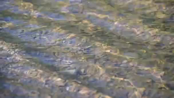 Texture variée des vagues rivière de montagne au coucher du soleil 