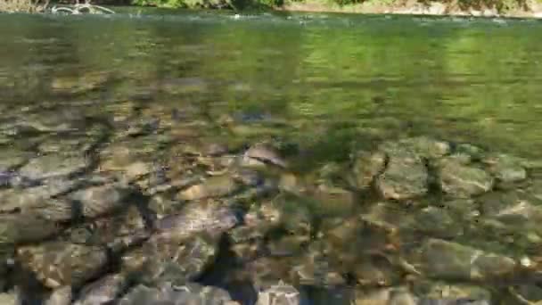 Gün Batımında Çeşitli Dalga Desenli Dağ Nehri — Stok video