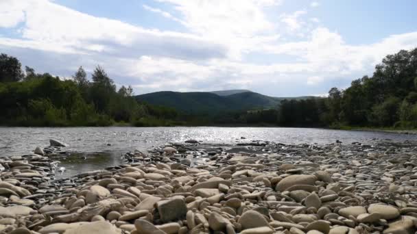 Ορεινό Τοπίο Ποταμού Την Άνοιξη Ηλιόλουστη Μέρα — Αρχείο Βίντεο
