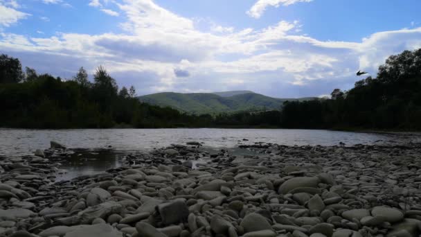 Montaña Río Paisaje Primavera Día Soleado — Vídeo de stock