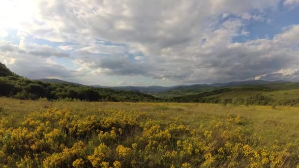 Primavera Los Cárpatos — Vídeo de stock