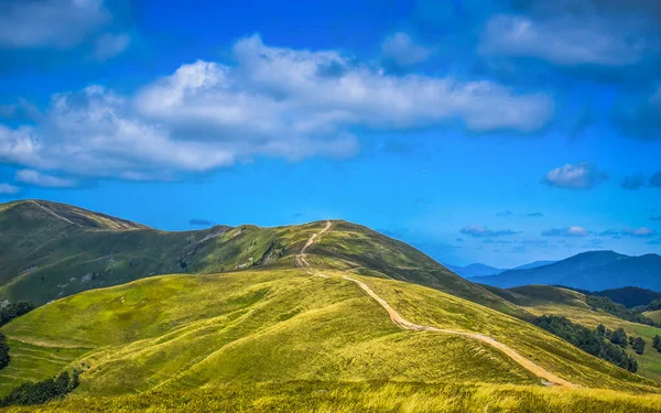 Polonyna Krasna denilen manzara 