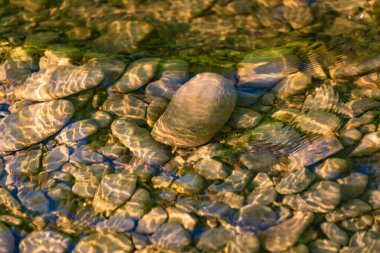 Gün batımında çeşitli dalga desenli dağ nehri