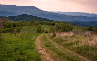 Bahar manzarası Karpat Dağları