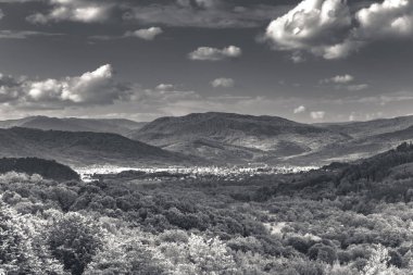 Bahar manzarası Karpat Dağları