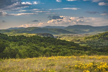 Bahar manzarası Karpat Dağları
