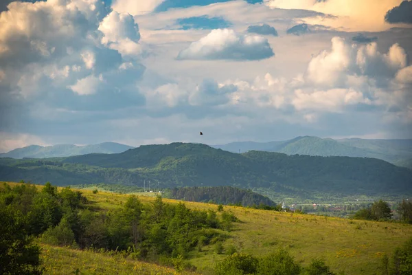 Landschaft Des Frühlings Karpaten — Stockfoto