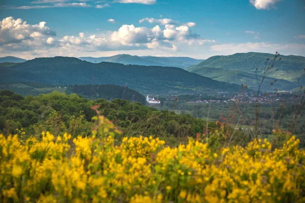 Landscape Spring Carpathian Mountains — Stock Photo, Image