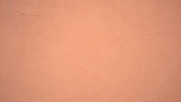 美しいヴィンテージの背景 要旨グランジ装飾スタッコ壁のテクスチャ — ストック動画