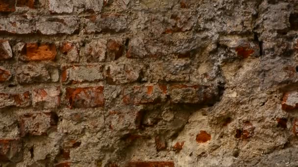 Die Wände Des Gebäudes Der Antiken Stadt Textur Hintergrund — Stockvideo