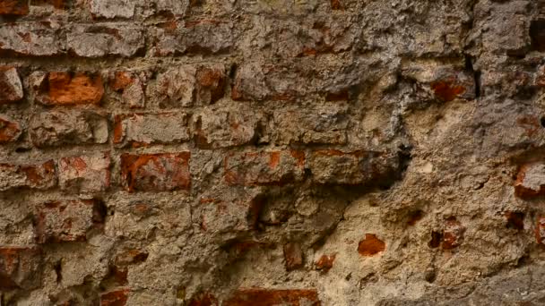 Mury Budynku Starożytnego Miasta Tekstura Tło — Wideo stockowe
