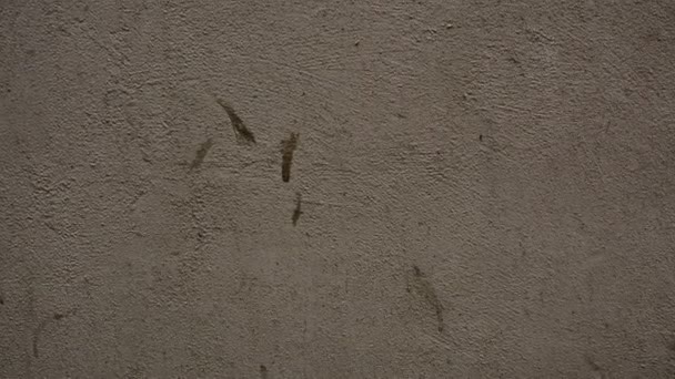 Las Paredes Del Edificio Antigua Ciudad Textura Fondo — Vídeos de Stock