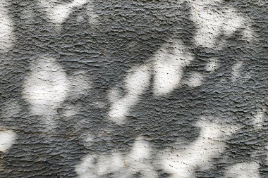 Beton lekeli soyut beton duvar dokusu, duvardaki ağaçların gölgeleri, güzel bir desen oluşturuyor..