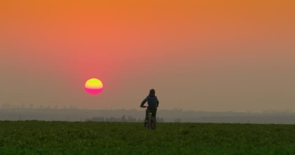 Um rapaz está a andar de bicicleta num caminho ao pôr-do-sol. A filmar pelas traseiras. 4K — Vídeo de Stock