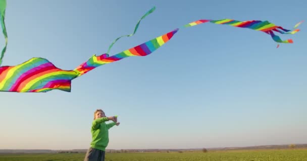 那男孩正试着把风筝放在天上.日落了4K — 图库视频影像