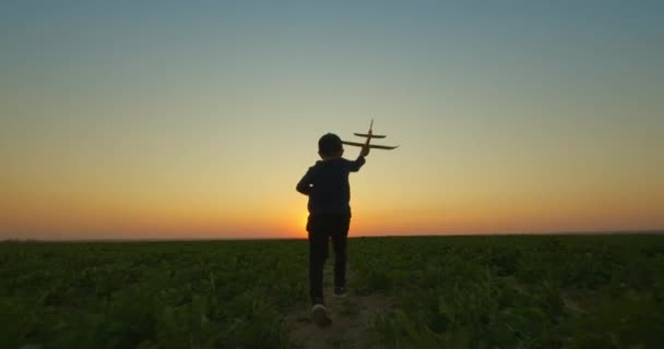 Ένα μικρό αγόρι με ένα αεροπλάνο παιχνίδι στα χέρια του τρέχει κατά μήκος του πεδίου. Υπαίθρια παιχνίδια στο ηλιοβασίλεμα. 4K — Αρχείο Βίντεο