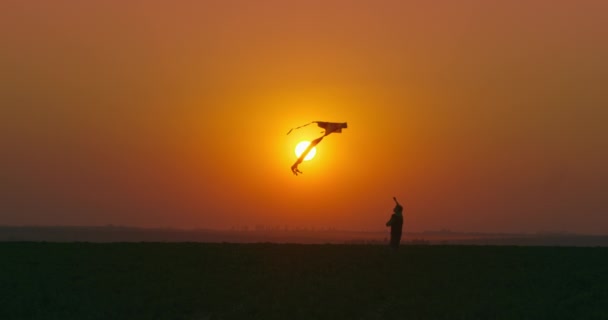 Ein Junge spielt bei Sonnenuntergang mit einem Drachen am Himmel. 4K — Stockvideo