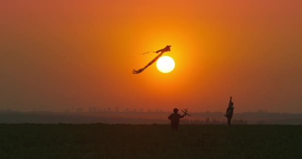 Un petit garçon avec un avion jouet dans ses mains court vers son frère qui joue avec un cerf-volant. Jeux en plein air au coucher du soleil. 4k — Video