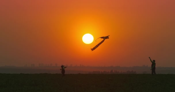 Un niño pequeño con un avión de juguete en sus manos corre hacia su hermano que está jugando con una cometa. Juegos al aire libre al atardecer. 4k — Vídeos de Stock