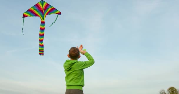 Um rapaz está a lançar um papagaio. Pôr do sol. 4K — Vídeo de Stock
