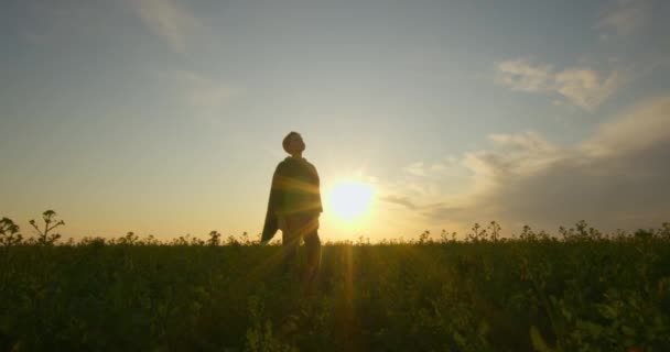 Um menino-super-herói está em campo. Pôr do sol. 4K — Vídeo de Stock