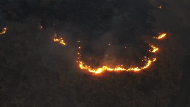 Disparos con drones. La hierba está ardiendo en el campo. Fuego. 4K — Vídeo de stock