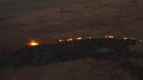 Disparando desde un dron. Quemando hierba seca en el campo. Los bomberos están apagando el fuego. 4K — Vídeo de stock