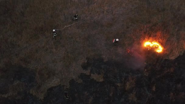 Disparando desde un dron. Quemando hierba seca en el campo. Los bomberos están apagando el fuego. 4K — Vídeos de Stock