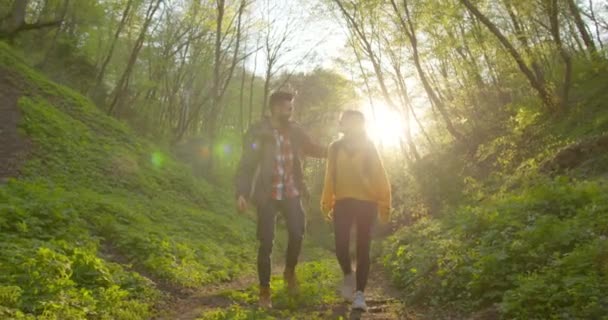 Um tipo e uma rapariga estão a sorrir e a caminhar pela floresta. Caminhadas na floresta. 4K — Vídeo de Stock