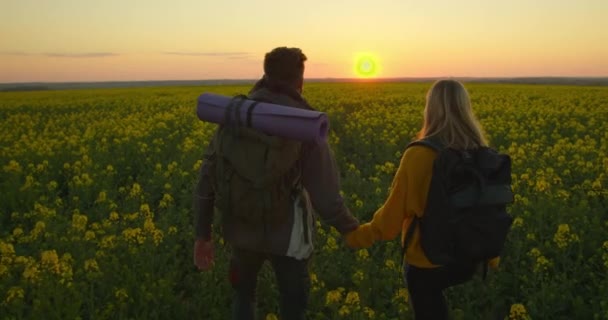 Un ragazzo e una ragazza stanno camminando attraverso un campo al tramonto. 4K — Video Stock