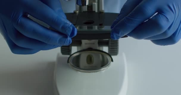 クローズアップ撮影。ラボワーカーが顕微鏡スライドを挿入し、レンズを動かします。実験室での実験。ワクチンを探せ。4K — ストック動画