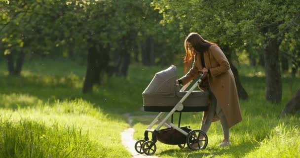 A mãe está embalando a criança. Caminhando em Spring Park. 4K — Vídeo de Stock