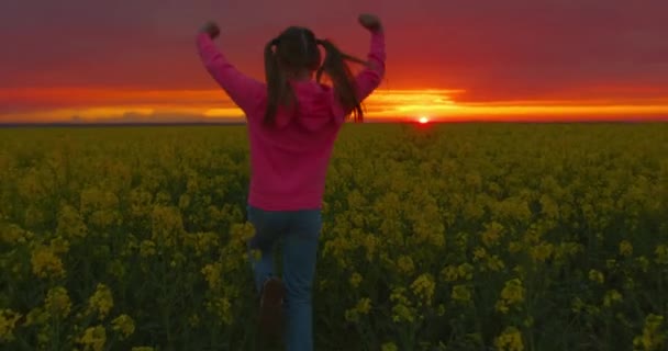 Close-up tiro. A menina feliz está pulando no campo. Pôr do sol. 4K — Vídeo de Stock