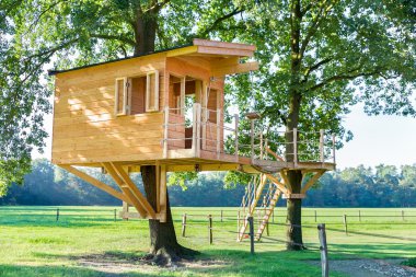Wooden tree house in oak tree and meadow  clipart