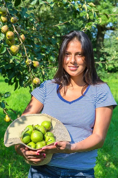 Donna in frutteto con cappello pieno di pere — Foto Stock