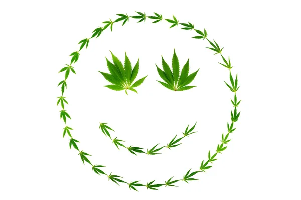 Лист конопли с лицом полный цикл выращивания марихуаны