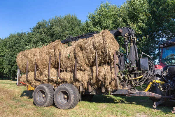 Veículo agrícola cheio de fardos de feno redondo — Fotografia de Stock
