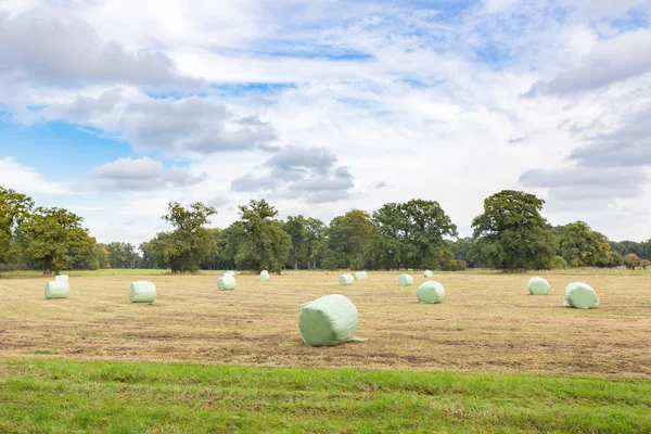 Dutch fall landscape with plasticized hay bales — Stock Photo, Image