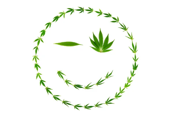 Winking face as smiley made of hemp leaves — Stock Photo, Image