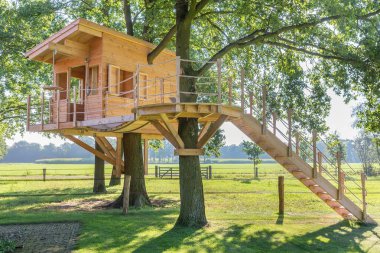 Wooden tree house in oak tree with grass clipart